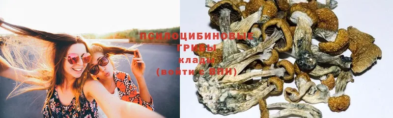 Псилоцибиновые грибы Magic Shrooms Алатырь